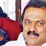 DMK to contest Lok Sabha poll in Tenkasi after 28 years