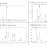 Evaluation of the Protective Effects of Moringa oleifera, Zingiber officinale, and Allium sativum in a Rat Model of Chronic Kidney Disease (CKD)