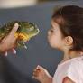 Des Plaines Fall Fest offers plenty of chances for fun