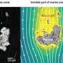 Hidden comet tails of marine snow impede ocean-based carbon sequestration