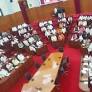 Tamil Nadu Assembly Begins Today, Could Be Stormy