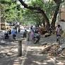 Constituency round-up: Sitting MLA takes on DMK's youth wing organiser and poet-lyricist from MNM in Virugambakkam
