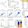 UM171 cooperates with PIM1 inhibitors to restrict HSC expansion markers and suppress leukemia progression