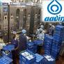 Aavin to fortify toned milk with vitamins A and D soon