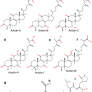 Antcin-B, a phytosterol-like compound from Taiwanofungus camphoratus inhibits SARS-CoV-2 3-chymotrypsin-like protease (3CLPro) activity in silico and in vitro | Scientific Reports