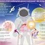 Modulation of neutrophil-to-lymphocyte ratio and gut microbiome balance in astronauts: potential benefits of novel beta-glucans during space missions