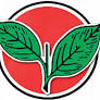 Pollachi cadre sacked for fake circular on ex-minister’s ouster