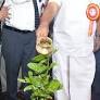 Foundation laid for Alambadi cattlebreeding and research station
