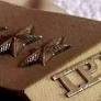 13 officers shifted in IPS rejig, five promoted as SPs