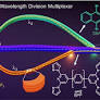 A Broadband, Multiplexed-Visible-Light-Transport in Composite Flexible-Organic-Crystal Waveguide