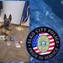 K-9 Balu assists in drug arrest during Elko traffic stop