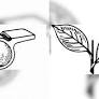 Whistle feebles, 2 leaves will stay forever: Ex-Min C Vijayabaskar
