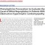 Phenylephrine Provocation to Evaluate the Cause of Mitral Regurgitation in Patients With Obstructive Hypertrophic Cardiomyopathy