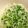 How T cells transform to defend our organs
