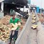 Coir exports touch all time high