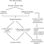 Analysis of lncRNA-miRNA-mRNA Interactions in Hyper-proliferative Human Pulmonary Arterial Smooth Muscle Cells