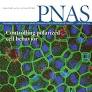 Simultaneous imaging of tumor oxygenation and microvascular permeability using Overhauser enhanced MRI