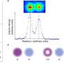 Quantum measurement arrow of time and fluctuation relations for measuring spin of ultracold atoms