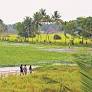 Kadambrayar back on Kochi’s tourism map, soon to get a facelift