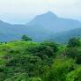 Haste makes waste: High Court stalls ambitious pre-poll Idukki trek