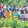 Flowers for Onam: harvest festival held in Nemom block