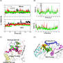 Computational repurposing of drugs against dengue virus targeting NS5 and methyltransferase proteins