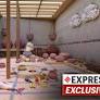 National Museum bars non-vegetarian dishes from Harappan menu in event on premises