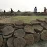 Assam BJP MLA prescribes cow dung for COVID-19