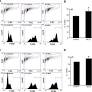 A Modified Collagen Dressing Induces Transition of Inflammatory to Reparative Phenotype of Wound Macrophages