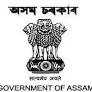 Tea estate model schools inaugurated in Dibrugarh district