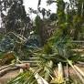Hailakandi eviction drive enters Day 2, local MLA alleges selective targeting