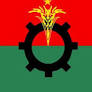 BNP candidates