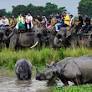 Bagori & Kohora ranges at Kaziranga National Park now open for tourists