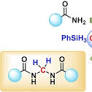 Mesoionic N‐Heterocyclic Imines as Super Nucleophiles in Catalytic Couplings of Amides with CO2
