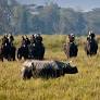 ‘Fortress conservation’ is driving us from our homes