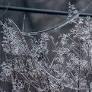 Rep. Andrew Clyde seeks disaster declaration in wake of Winter Storm Fern