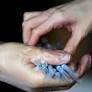 Republicans, take note: Voters trust Democrats more on vaccines