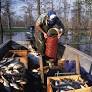 Higgins, Fields Introduce Bill Supporting Wild-Caught Crawfishermen