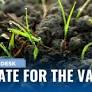Costa, Finstad Lead Congressional Soils Caucus