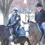 An Obituary For Ryan Zinke’s Political Career