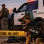 Titus, Lee Vote Against Protecting Police Dogs as Horsford Skips Vote