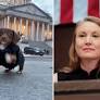Internet Obsessed With How Rep. Melanie Stansbury Celebrates Noem Firing