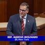Molinaro runs for assembly