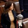 Nancy Mace proposes bill to make aliens deportable, inadmissible for animal cruelty