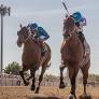 Touchuponastar dazzles in record-setting time to win New Orleans Classic