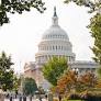 Brown, Mace, Fallon, and McClain Delaney Reintroduce SAMOSA Act to Streamline Federal Software Purchasing and Lower Costs