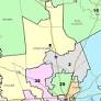 U.S. representative for Texas’ 8th Congressional District: Primary election results