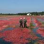 Op-Ed: Rep. Derrick Van Orden: In Wisconsin, every week is Agriculture Week