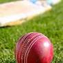 Danish Malewar Becomes First Indian In 81 Years To Achieve Rare Feat | Cricket News