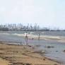Maharashtra: 16-year-old boy drowns at Mumbai beach